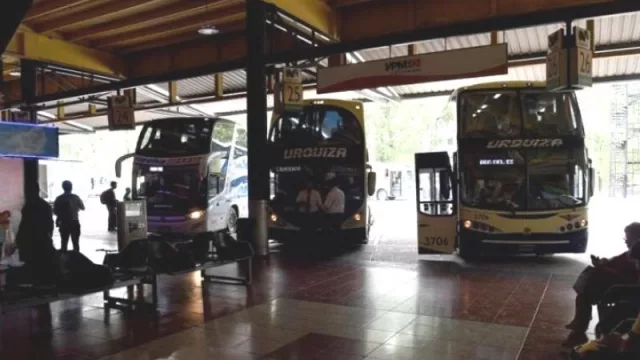 Nuevas flexibilizaciones: se habilitó la salida de colectivos de larga distancia para tours de compras