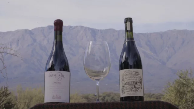 Enoturismo cordobés: la ruta del vino con más de 400 años que sigue creciendo