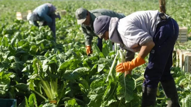 RENATRE coordina la implementación del Pase Sanitario Rural con el Gobierno de Jujuy