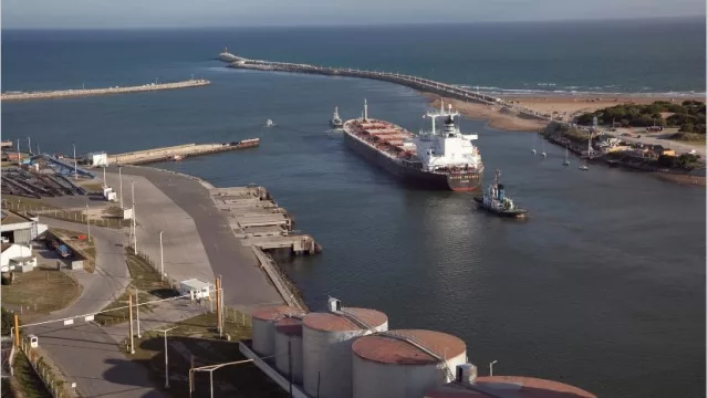 Exportadores de granos deberán liquidar divisas como máximo en 15 días para mantenerse en el registro oficial