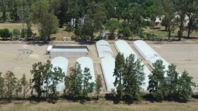 Jujuy hace historia: tendrá el primer laboratorio de cannabis medicinal de Argentina