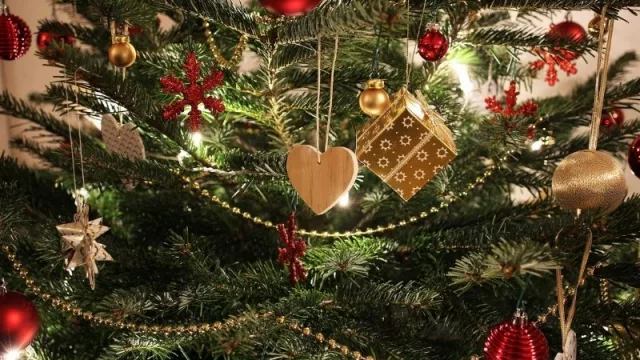 Desde la cartera sanitaria analizan números de contagios: ¿cómo se llevarán a cabo los festejos de fin de año? 