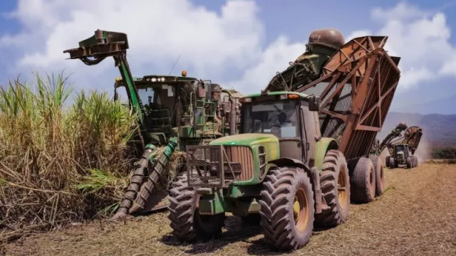 Se va la zafra: finalizó con éxito su cosecha 2020 de Caña de azúcar