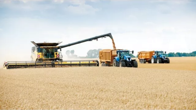 A pesar del repunte de la soja, la liquidación de exportaciones puede ser menor en octubre