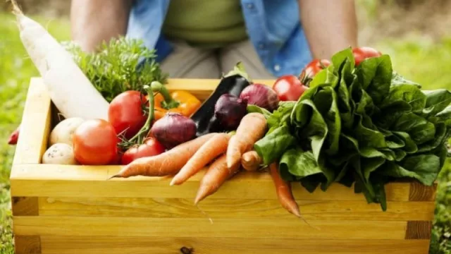 Tucumán promueve la producción sustentable en pequeños, medianos y grandes productores 