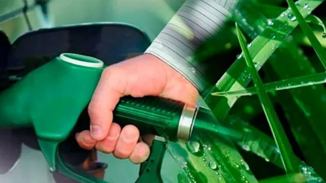 “Tucumán es pura energía renovable”: el novedoso proyecto para transformar el medioambiente y la economía tucumana