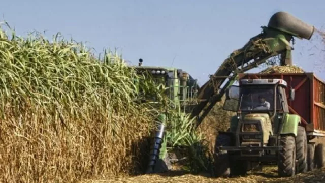 Zafra histórica: Tucumán le puso fin a la molienda en un año marcado por la pandemia