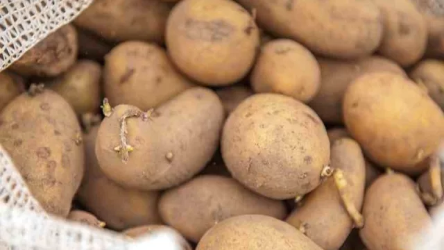 Semáforo de Economías Regionales según Coninagro: ¿en cuál de las tres luces se ubica Tucumán?