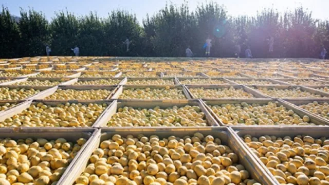 La clave que permitió hacer crecer los negocios del Grupo Lucci: "Al 'golpe de suerte' tuvimos que saber contenerlo"