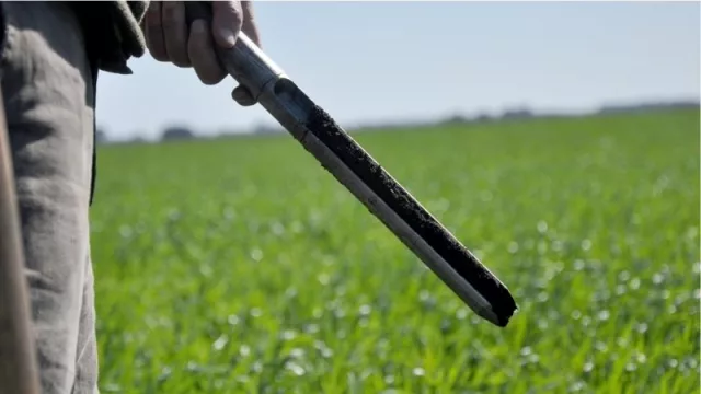 La Estación Experimental trabaja en el desarrollo de bioinsumos (podría sustituir a los agroquímicos) 