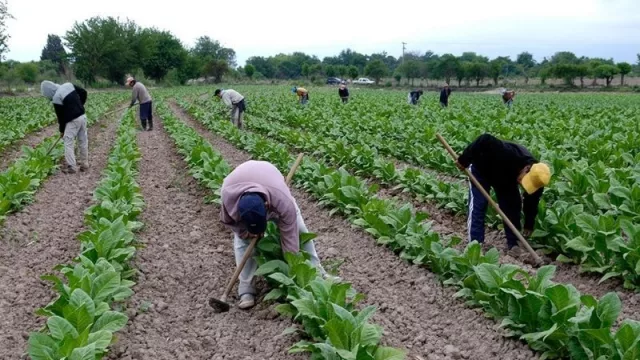 Jujuy apoya el proyecto de ley para la transferencia automática del FET