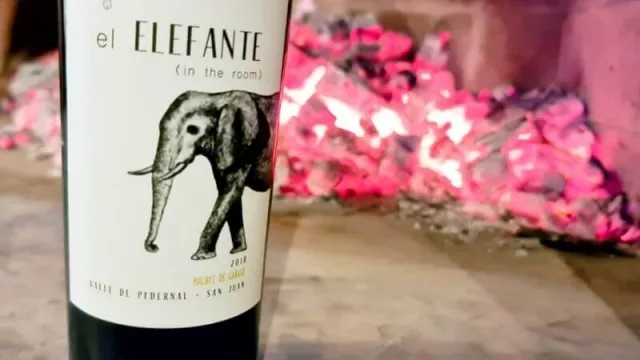 La enóloga que es furor en San Juan por el vino “Garage”