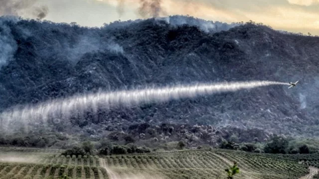 El Ministerio de Desarrollo Productivo convoca a voluntarios a participar del “Taller de capacitación ambiental” 