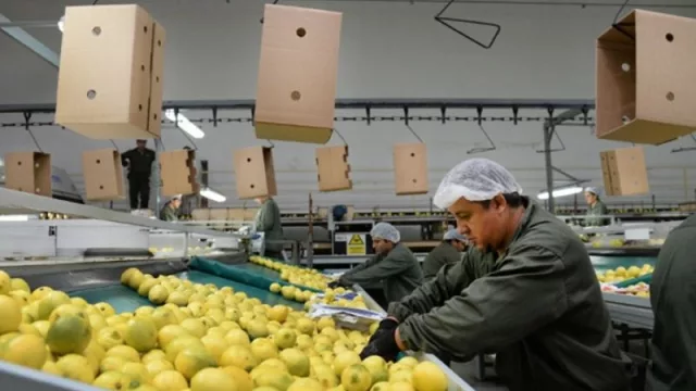 Balance dispar para la economía: informe sobre las principales industrias de la provincia