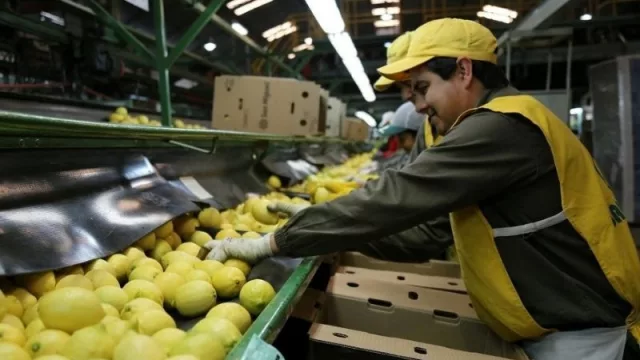 Notable retracción de la actividad económica de Tucumán (aunque menor al índice nacional y regional)