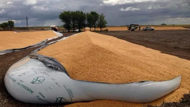 La solución IoT para el problema del vandalismo en silobolsas