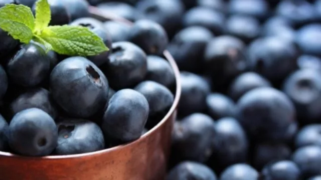 La importancia de la producción de arándanos en los valles: se amplía la oferta internacional de la fruta tucumana