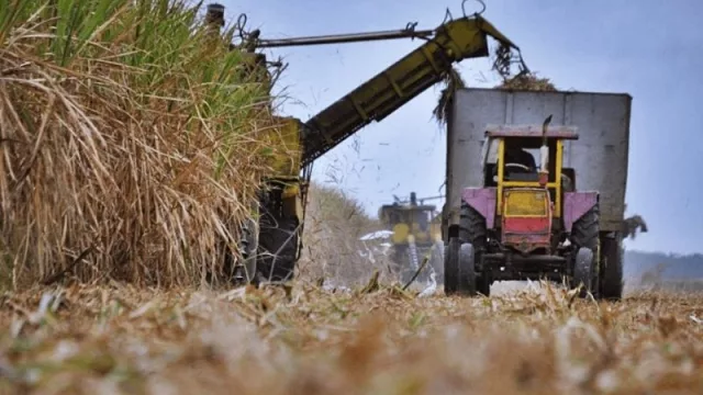 Proponen una novedosa y destacada iniciativa que tiene como eje a la industria azucarera tucumana
