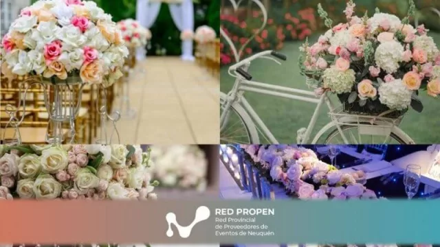 Red ProPEN: la plataforma que nucleará a los proveedores de eventos de Neuquén