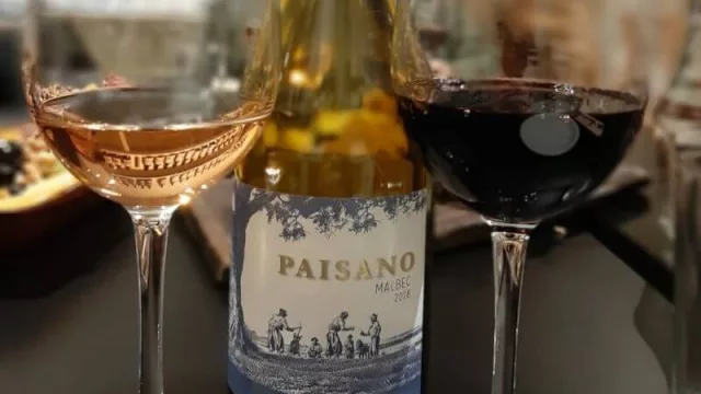 Paisano, un malbec de esos para darse un gusto en una ocasión especial
