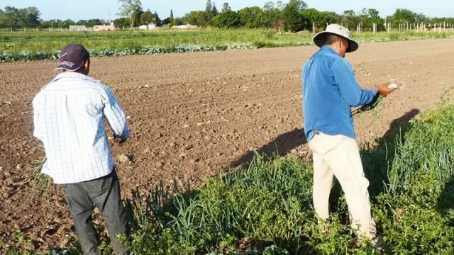 Importante incentivo para empleadores que contraten trabajadores rurales sin empleos