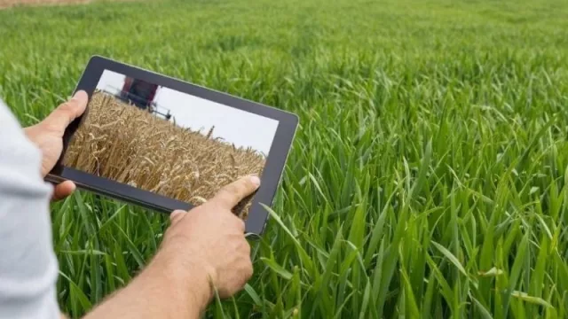 La importancia de la integración público-privada en el desarrollo de nuevas tecnologías para la agroindustria local