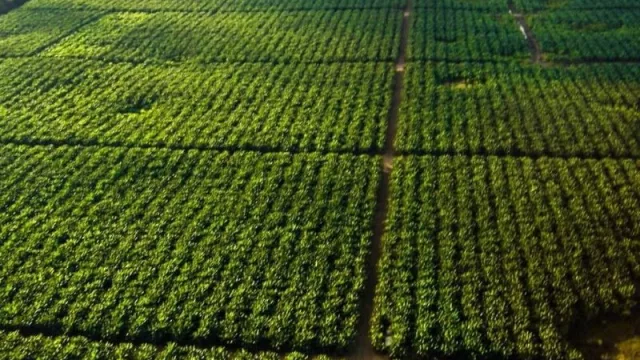 Tras un nuevo hito científico, se potenciará la agricultura satelital en Tucumán 