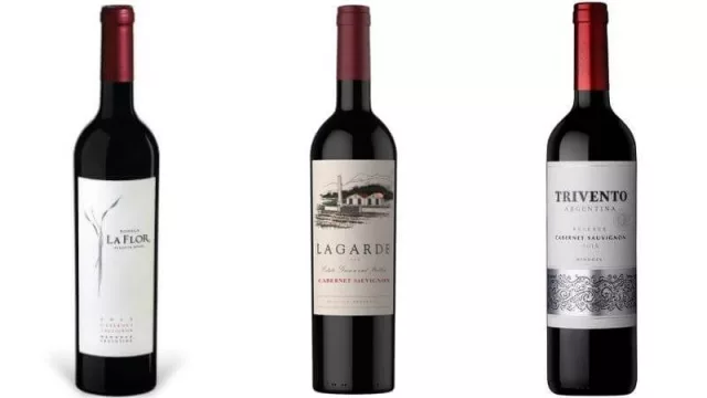 En su día, 5 Cabernet sauvignons (made in Mendoza)
