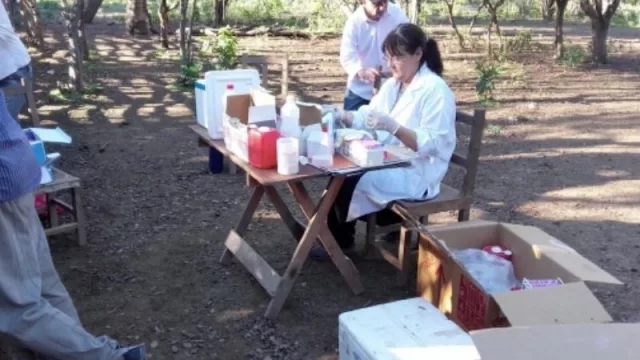 Fundación Bayer y UCASAL mejorarán la producción de cabras en el Chaco Salteño