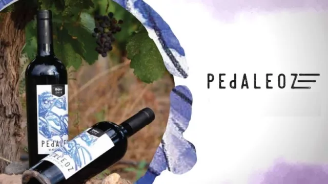 Vino Pedaleoz te ayuda a poner a punto tu bici durante la pandemia