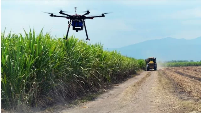 Las tecnologías exponenciales ganan terreno y plantean nuevos desafíos para el agro: la oportunidad de la Agtech