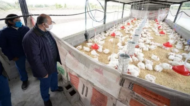 Buenas noticias: con un subsidio millonario fortalecen a una cooperativa de Tucumán 