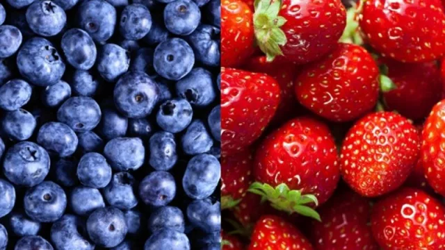 Productores tucumanos de berries podrán abordar un desafío clave para el sector