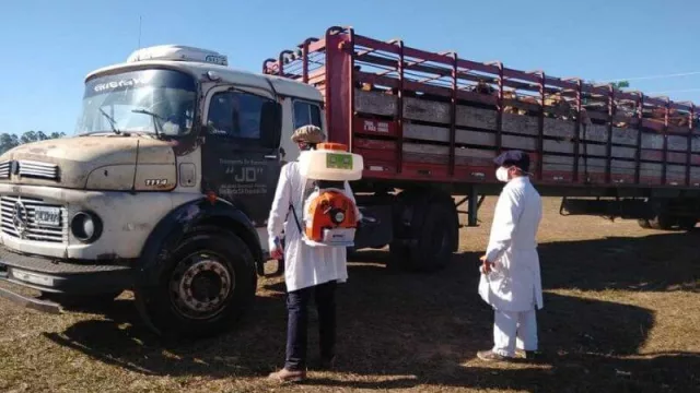 Corrientes, pionera en los controles sanitarios de COVID-19, en remates y ferias ganaderas