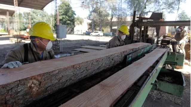 En medio de la pandemia, una empresa tucumana brinda trabajo y genera energías renovables
