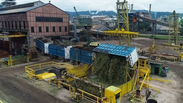 ¿Zafra asegurada?, el coronavirus también pone en jaque a la principal industria de la provincia