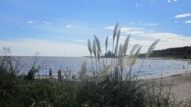 Alguien piensa en la zona oeste de Montevideo (Golden Key Brokers va donde pocos se animan)