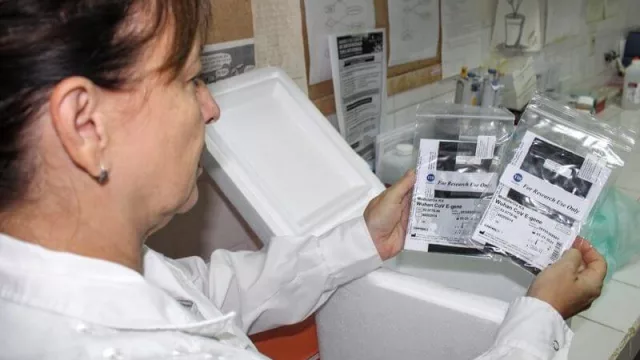 Chaco ya realiza el testeo local de muestras para detectar coronavirus