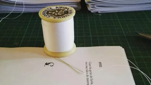 Una pálida idea: un proyecto que apuesta a la autogestión e independencia