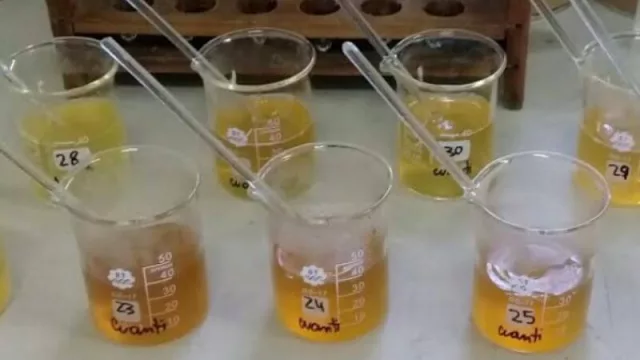 La miel del NEA se destaca por sus componentes (como el néctar de especies exóticas)