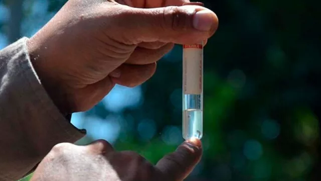 El Siprosa informó el estado epidemiológico de la provincia: ¿el dengue sigue acechando a los tucumanos?