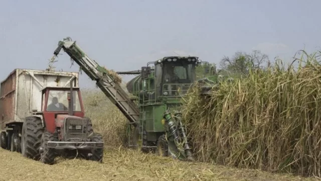 Retenciones: la determinante postura de los productores tucumanos