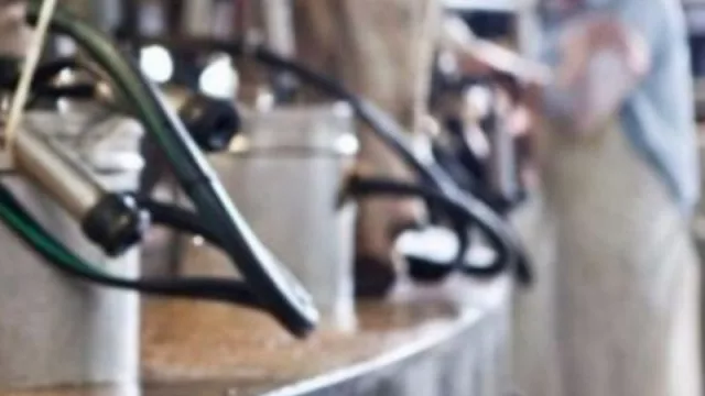 A pesar de la crisis, el negocio de la leche fue rentable para los tamberos tucumanos