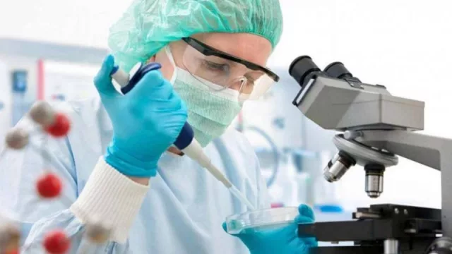 Tucumán, cuna de nuevos proyectos científicos: dos novedosas propuestas fueron coronadas a nivel nacional