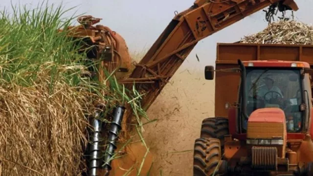 El sector azucarero pide la “unión de todos los tucumanos” para defender la industria