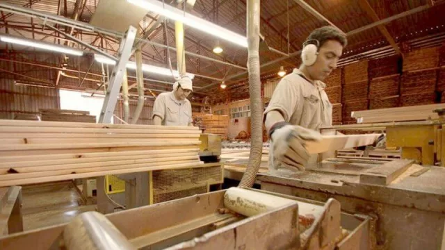 Corrientes muestra avances en el desarrollo de la industria forestal