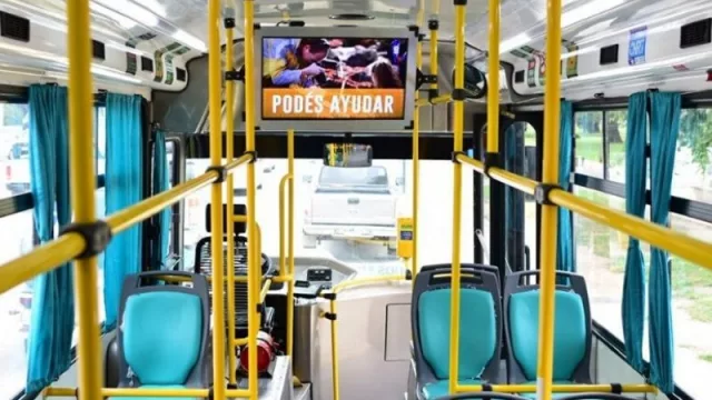 Luego de ser elegida como la mejor empresa familiar por nuestros lectores, Línea 19 va por más