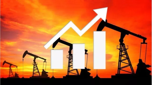 Vaca Muerta para todos: cómo invertir online con rentabilidades estimadas en dólares