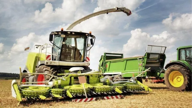 Las precipitaciones en el sudoeste chaqueño mejoran las condiciones de la agricultura