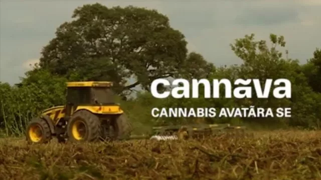 Cannava S.E. estrena su página web (con mucha información sobre cannabis medicinal) 